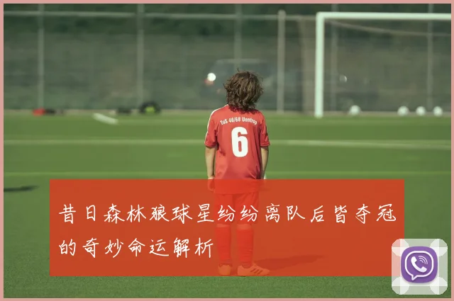 昔日森林狼球星纷纷离队后皆夺冠的奇妙命运解析
