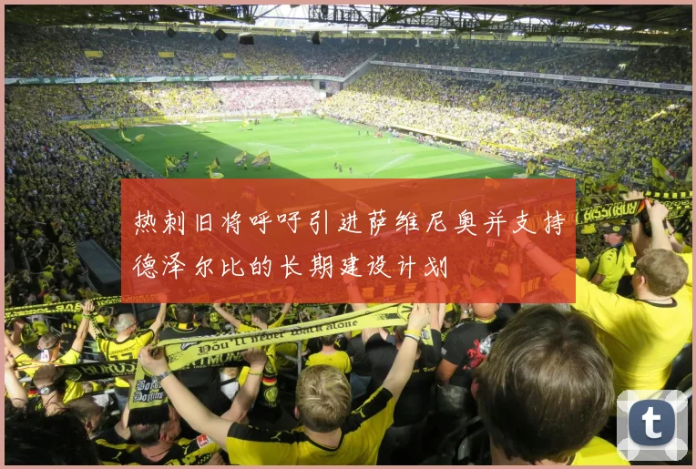 热刺旧将呼吁引进萨维尼奥并支持德泽尔比的长期建设计划